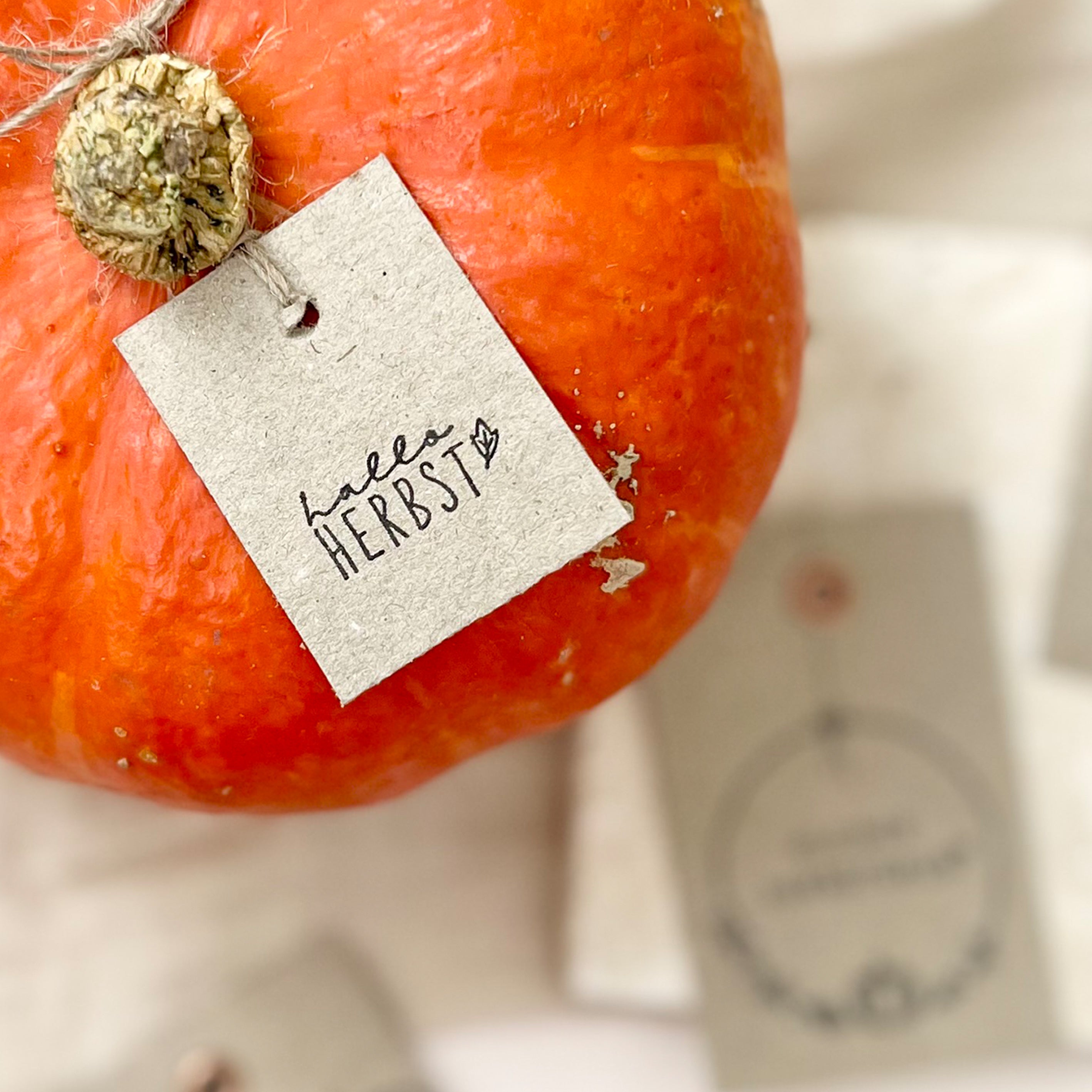 Stempel Herbst | Stempel Hallo Herbst | Stempel Herbstblatt
